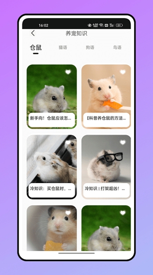 仓鼠翻译器