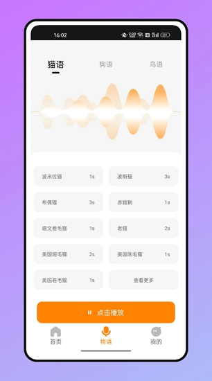 仓鼠翻译器