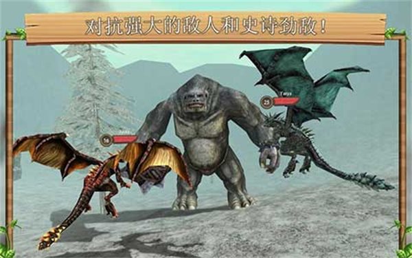 巨龙模拟器中文版