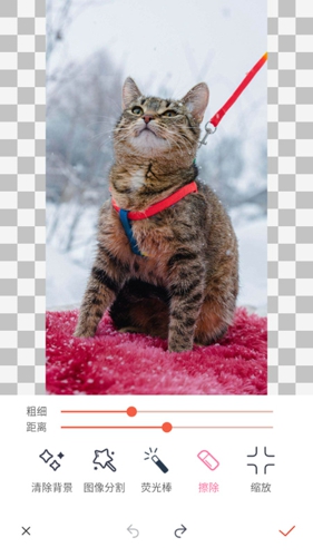 抠图秀