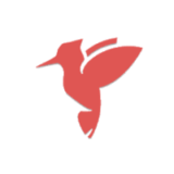 敲敲学英文