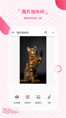 去水印相机