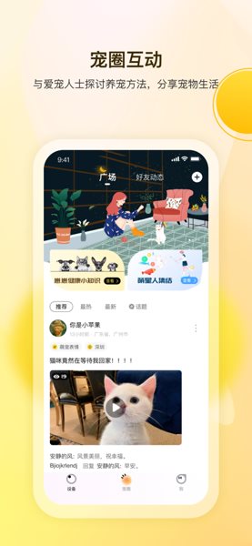 宠陪陪