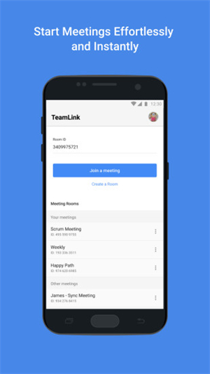 TeamLink