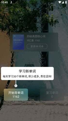 背背单词