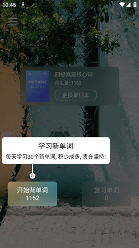 背背单词