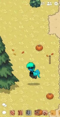 Pony Town