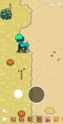 Ponytown