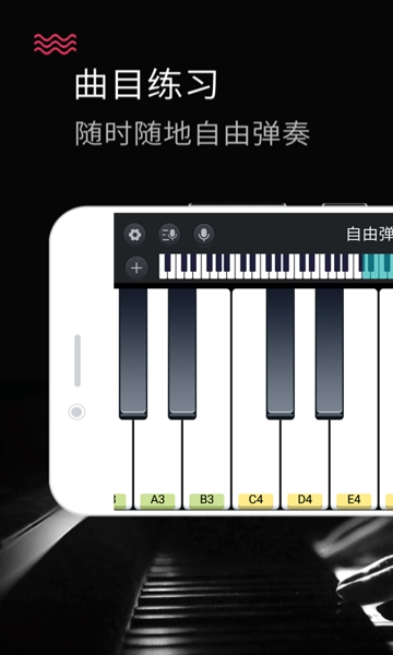 钢琴键盘