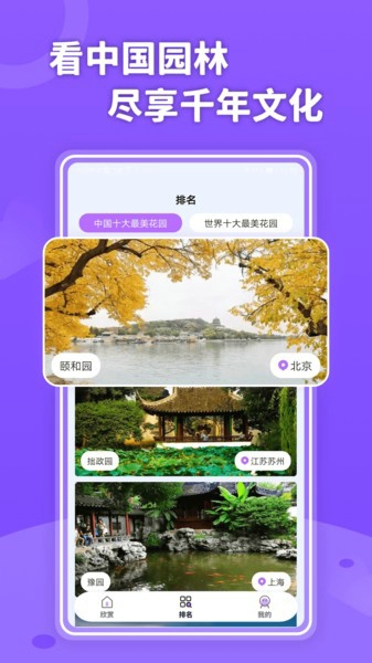 小小花园