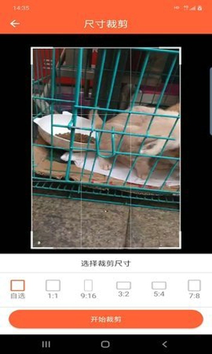 鸿翔水印