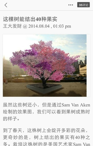煎蛋网