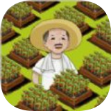 有块菜地