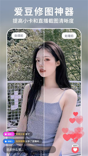 狸清照