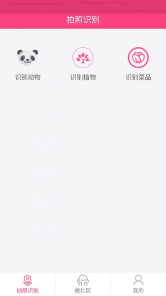 拍照识物app