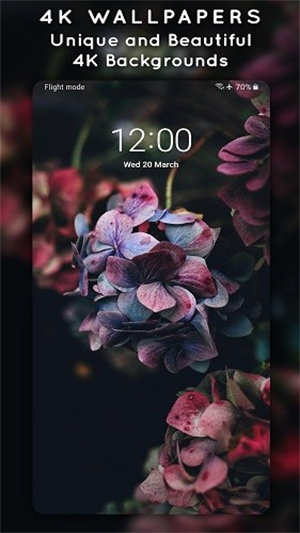 4K Wallpapers
