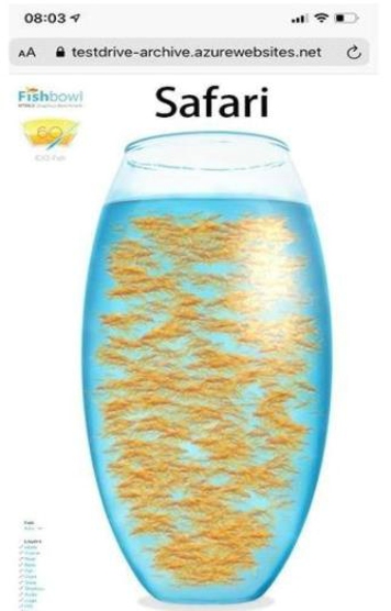 Fishbowl测试