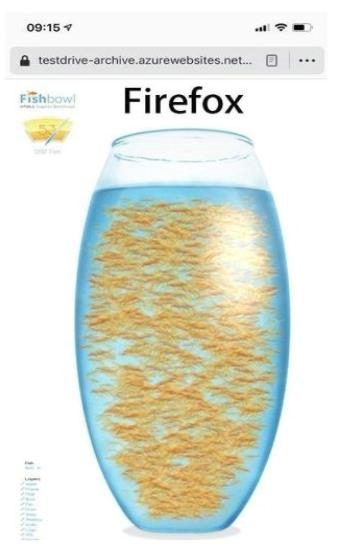Fishbowl测试