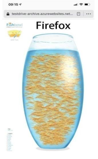 Fishbowl测试