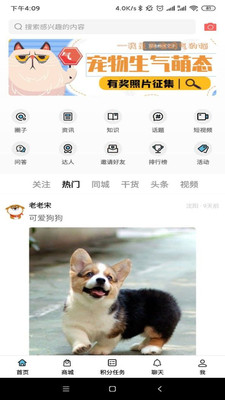 宠物社区