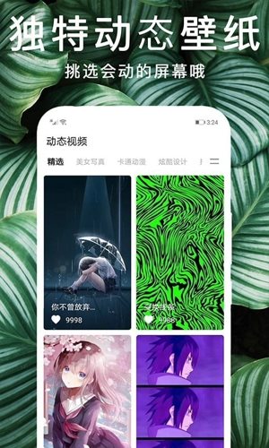 灵猫主题壁纸