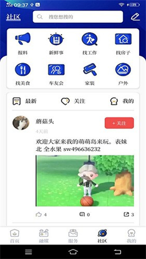 掌心长兴