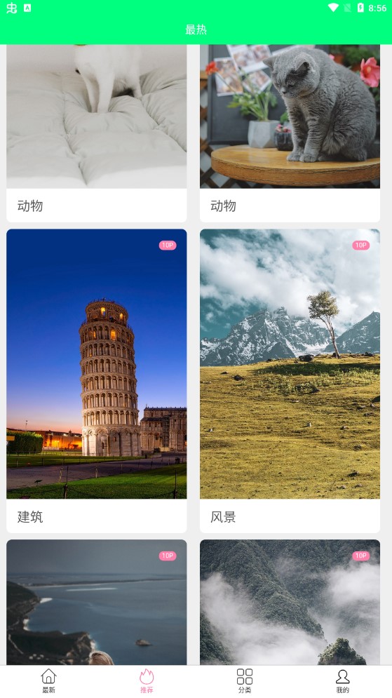 曼曼壁纸