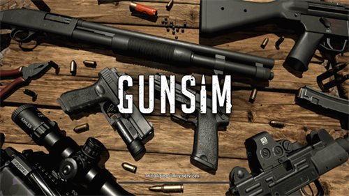 GUNSIM