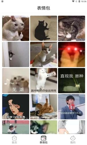 拾光美化