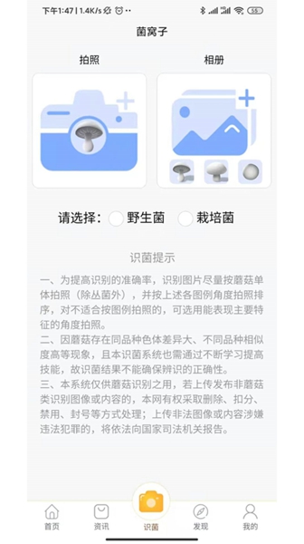 蘑菇识别