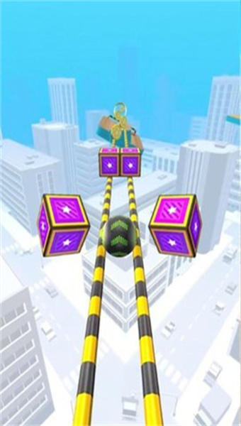 球球别乱跑