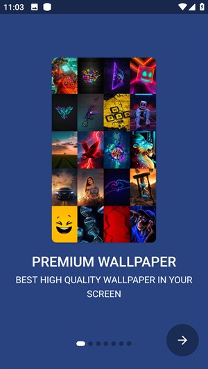 Walli fly