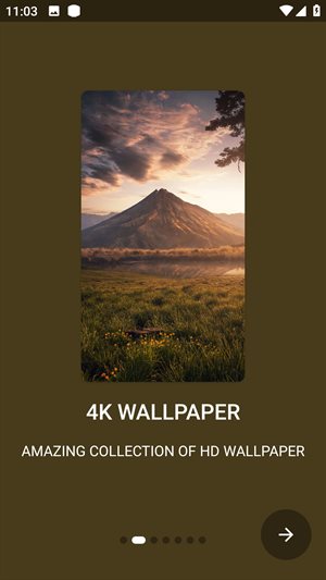 Walli fly