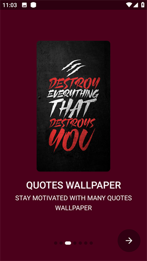 Walli fly