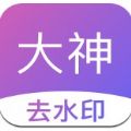 大神去水印