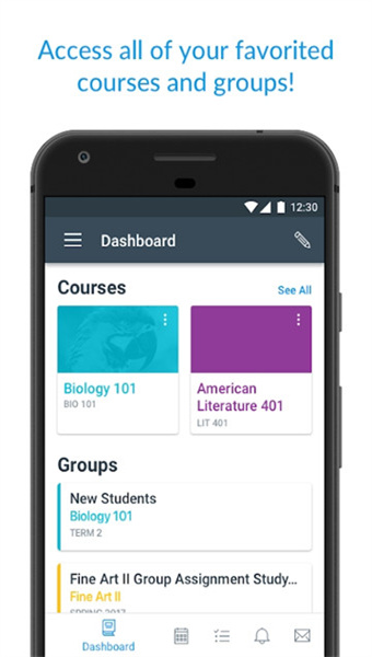 Canvas student