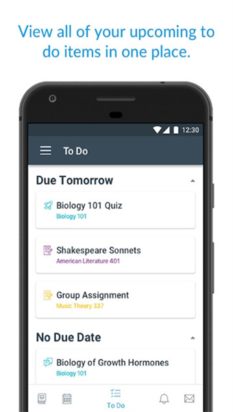 Canvas student