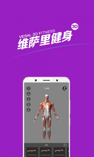 维萨里健身