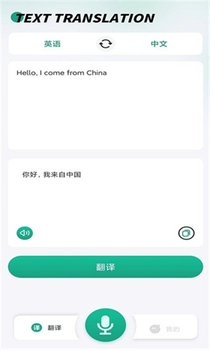 讲话和翻译