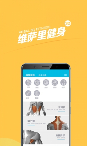 维萨里健身