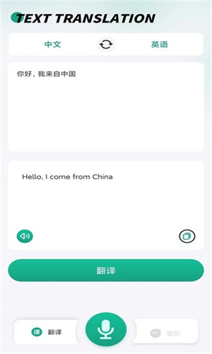 讲话和翻译