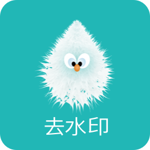 水印剪辑大师