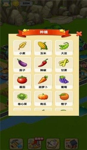 开心农家院