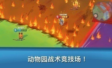 动物王者对战