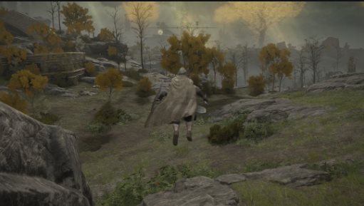 艾尔登法环暂停游戏MOD