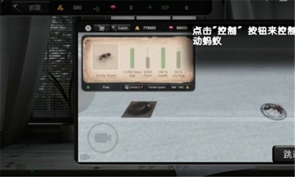 蚂蚁模拟大亨中文版