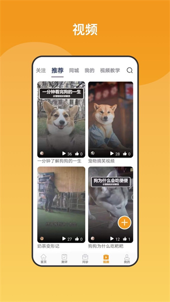 养宠无忧