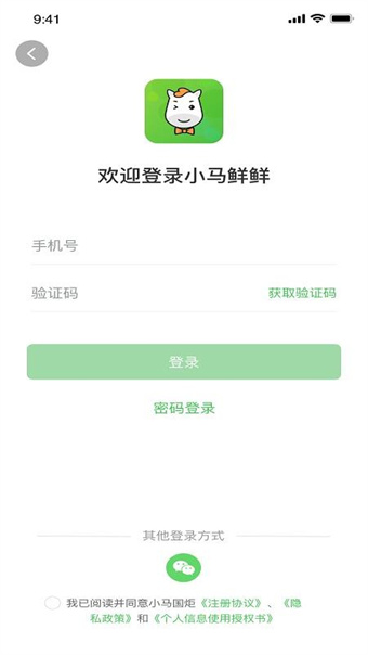 小马鲜鲜