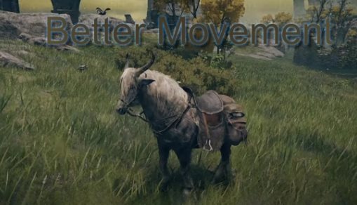 艾尔登法环骑行视角MOD