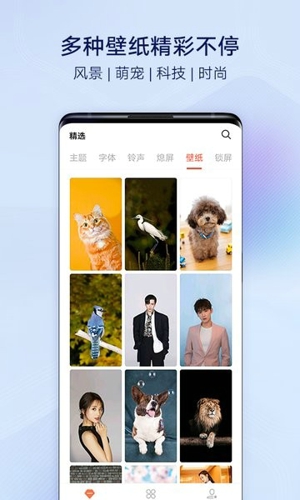 I主题降级软件
